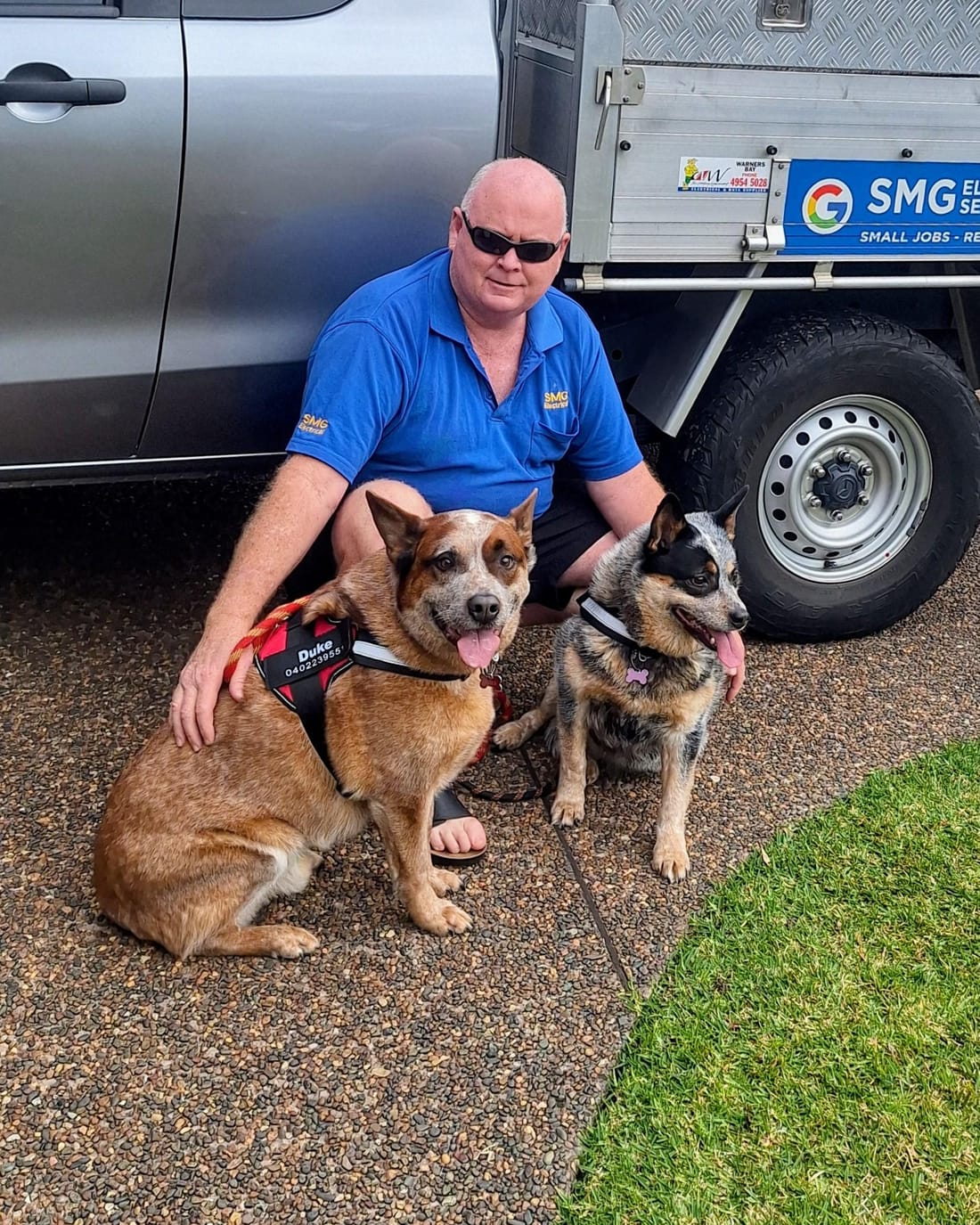 Shane Golledge, owner of SMG Electrical, with his dogs Duke and Daisy in front of the SMG Electrical ute
